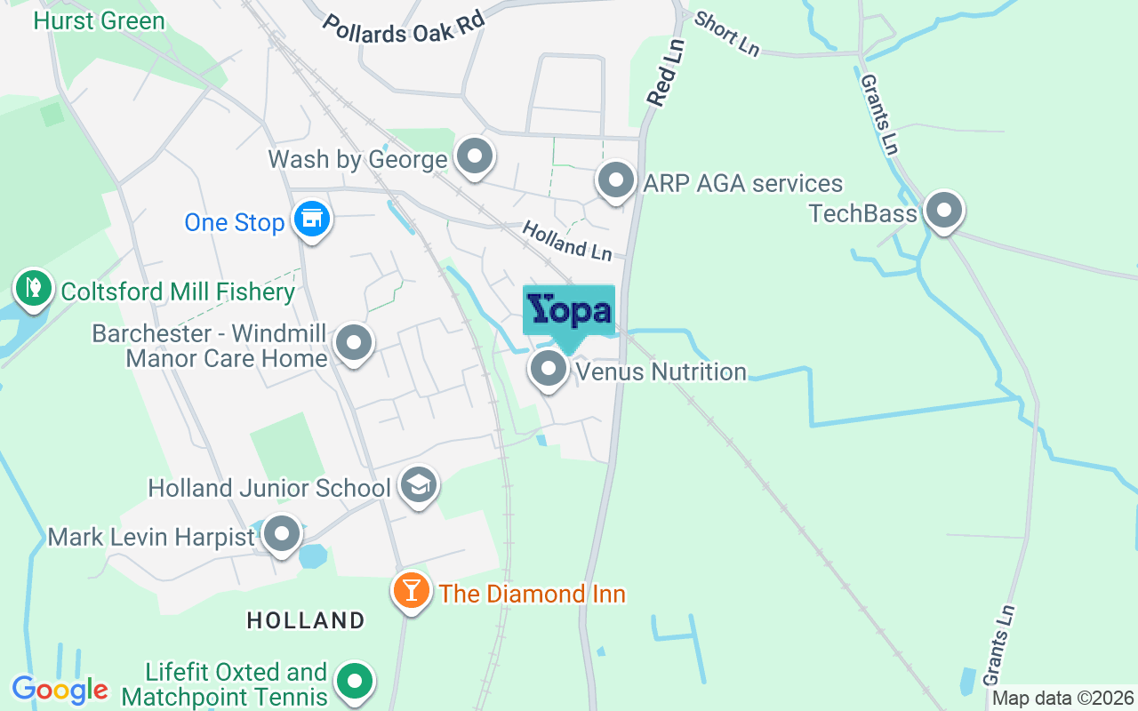 Map showing the location of RH8 0BF