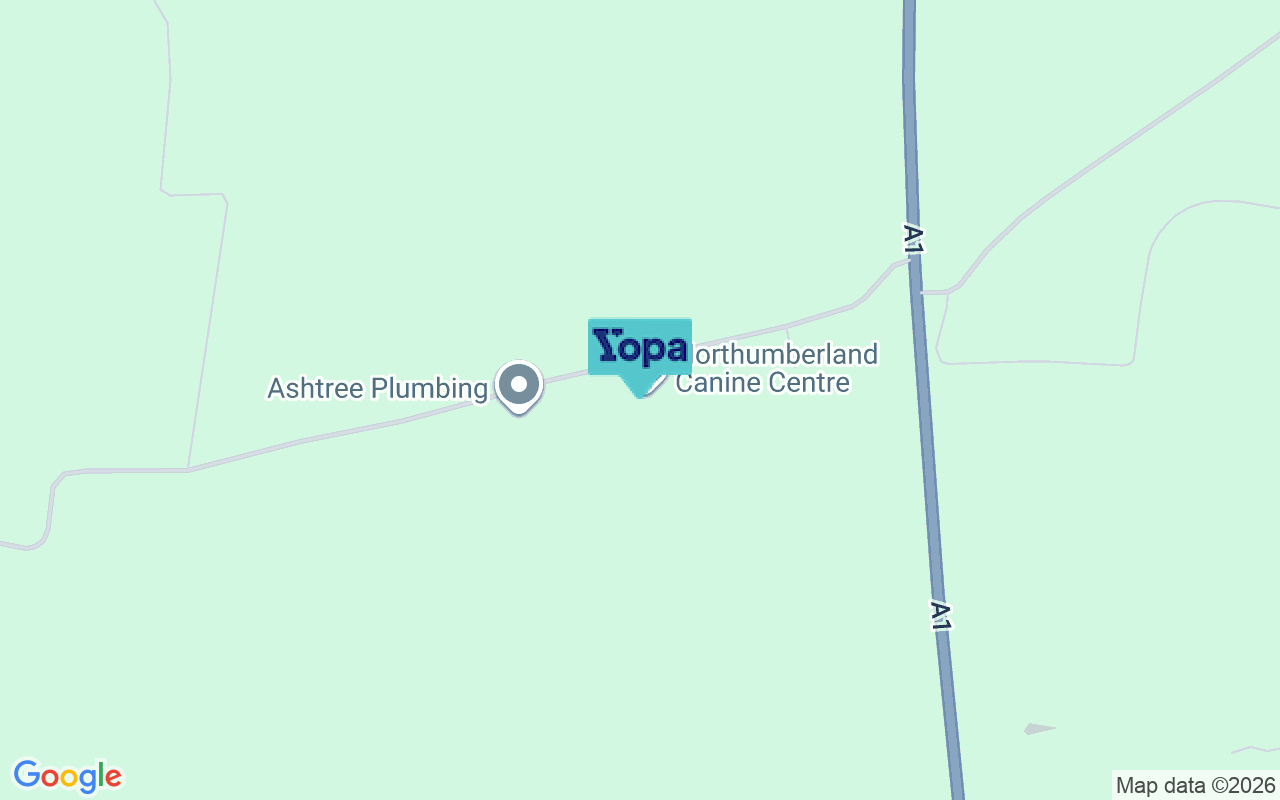 Map showing the location of NE65 9QE