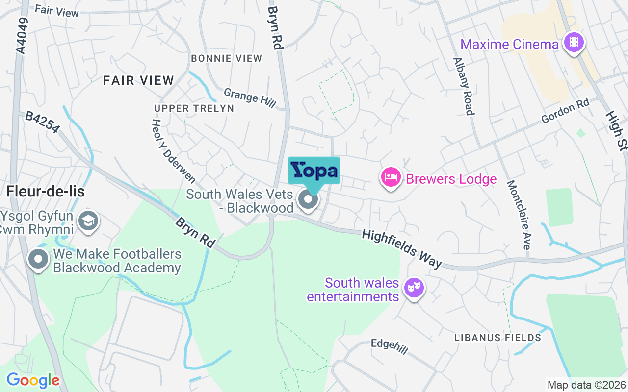 Map showing the location of NP12 1SP