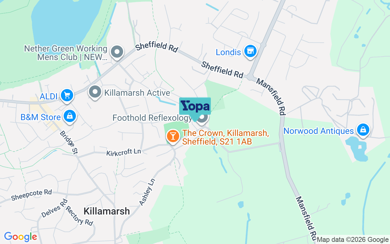 Map showing the location of S21 1JY